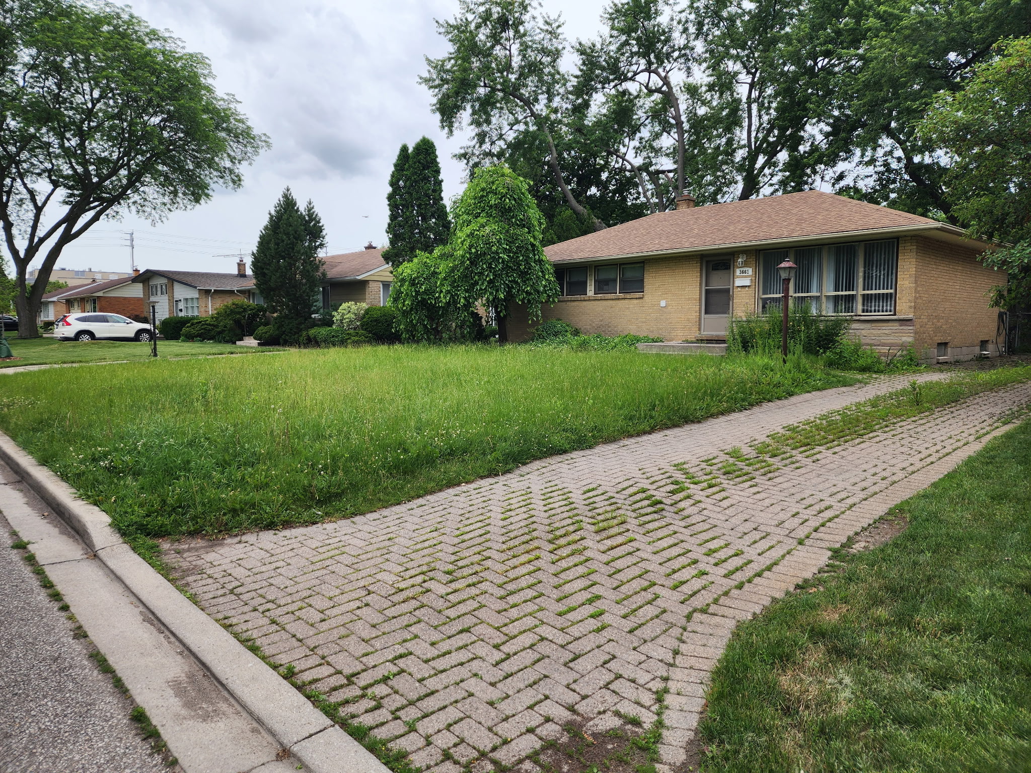 Property Maintenance